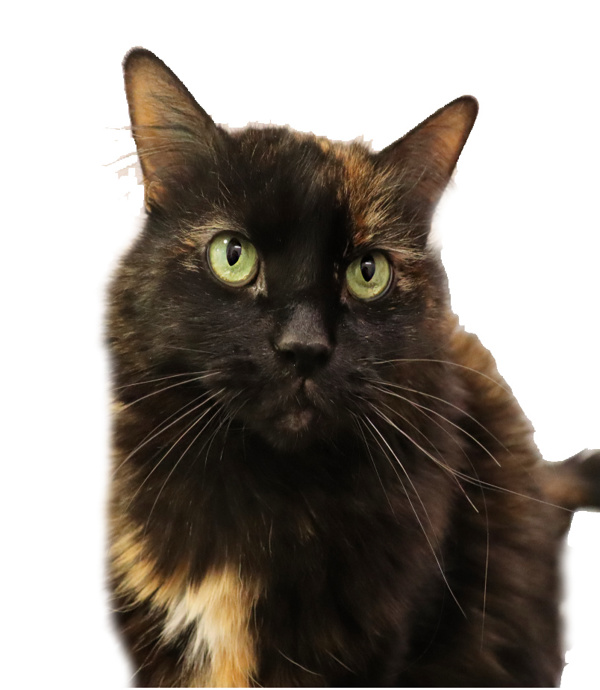 Purry